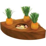 Rosewood Rodent Carrot Toy 'n' Treat Holder Waggs Online Pet Shop