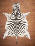 Aa Grade Zebra Hide 056 L