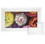 Colourful Flower Wall Art Photography Framed Print 1490 X 880