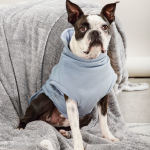 Cosy Up Pup Dog Jersey - Xxs