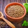 Coriander / Dhania Seeds P/kg
