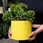 Emerson Pot - Matt Large - Yellow Matt - 19CM