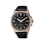 Eco-drive Perpetual Calendar
