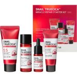 Snail Truecica Miracle Repair Starter Kit