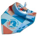 Pre-production Sample Hoppla Tyson Small Polyester Dog Bandana