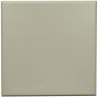 Blank Plate 4X4 TI