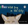 Wild Dog In The City - Band 05/GREEN   Paperback Edition