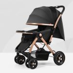 Stylez Reversible Stroller