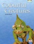Colourful Creatures - Orange B Nf Paperback