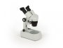 Microscope Stereo Microscope