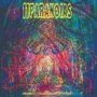 Reliquary For A Dreamed Of World   Cd
