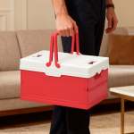 Foldable Plastic Camping Storage Box