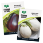 Egg Plant Seeds 15G Type May Vary