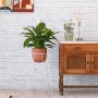 Hairpin Plant Stand - White - White Stand With Terracotta Moon Planter Excl. Plant