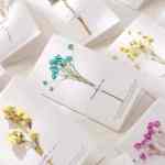 Handmade Real Dried Flower Greeting Cards 5 Pack