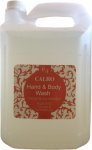 Orange & Sandalwood Body Wash