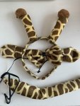 Giraffe Aliceband Set