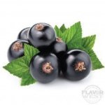 Blackcurrant Concentrate - 50ML