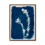 Fynbos Stem I Art Print - A4