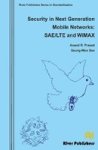 Security In Next Generation Mobile Networks: Sae lte And Wimax