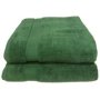 Elegant 380 Zero Twist Bath Sheet 2PC Pack 90X150CMS Forest Green