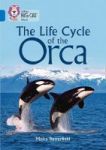 The Life Cycle Of The Orca - Band 16 SAPPHIRE Paperback