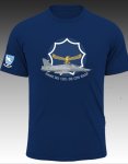 Hawk Mk 120. 85 Cfs Saaf