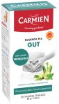Carmien Gut Tea - With Probiotics