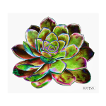 DR4 Art Print - 35 W X32 H Cm