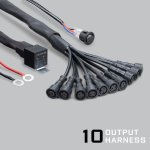 Altiq Rock Light Pro – 10 Output Harness – 2 Pin For