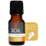 Soil-ginger 10ML