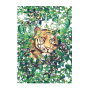 Tiger Tiger Jungle Art Print - A5 148 X 210 Mm