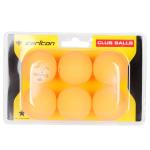 CARLTON Club T tennis Balls 6 PC