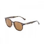 D'arcs Cali Lifestyle Eyewear - Black Gold