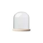 Glass Dome With Pine Base - 20X20CM