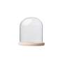 Glass Dome With Pine Base - 20X20CM