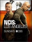 Ncis Los Angeles: Season 8 DVD