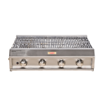 4 Burner Gas Grill Deep