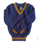 Prof Navy And Gold Striped Long Sleeve Jersey - Unisex