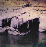 Iceberg Nerves Vinyl Record