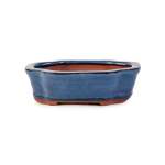 Assorted Glazed Bonsai Pots 6" - Blue Decorative Rectangular 16 X 12 X 5CM