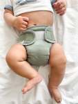 Siesta Night Fitted Singles 5 6KG+ - Medium Olive Single