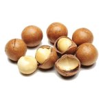 Macadamia Nut Organic Carrier Oil - 10 Ml