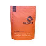 Endurance Fuel 50 Serving - Caffeinated Tropical Buzz