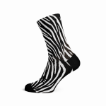 Zebra - 8-12