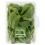 Pnp Baby Spinach 100G