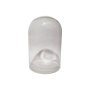 Clear Glass Dome