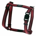 Rogz Pavement Special Small 11M Midget Dog H-harness Waggs Pet Shop