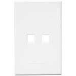 Dual Data Cover Plate Wt 100MMX50MM