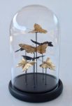 Glass Dome With Gold Butterflies 25X16CM